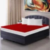 Waterproof Zipper Mattress cover maroon